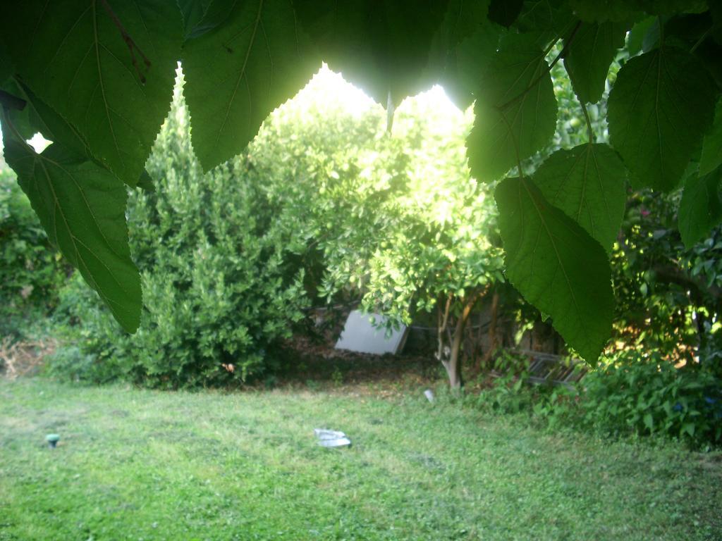 Patriko Country House Vóroi Zewnętrze zdjęcie
